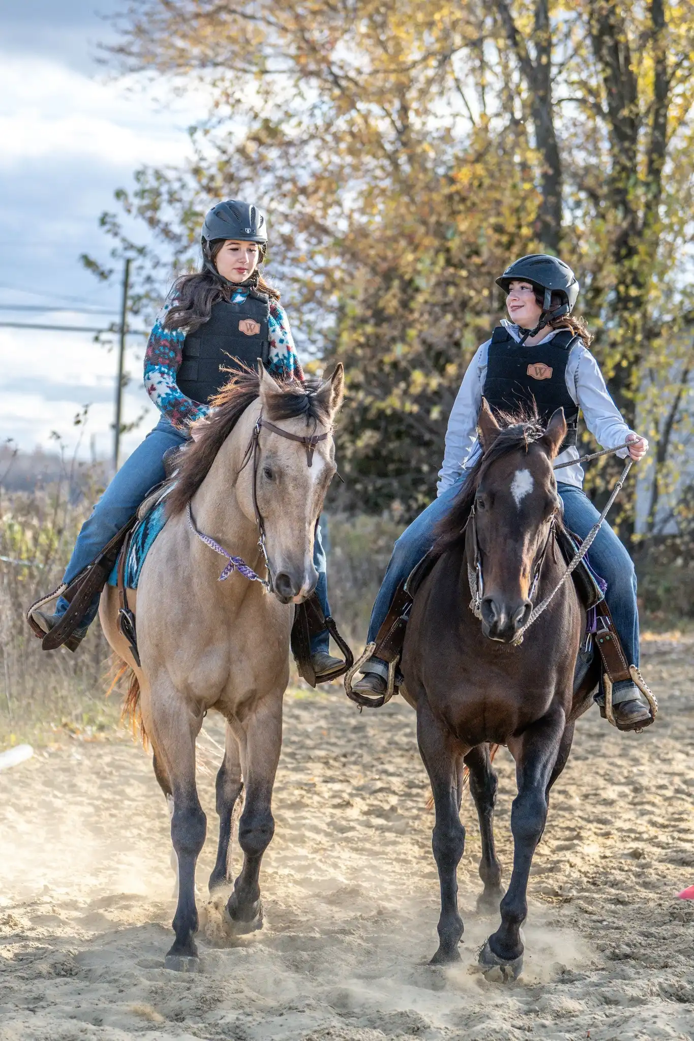 Conditions générales